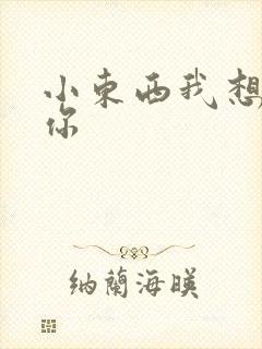 小东西我想弄坏你