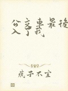 公交车最后一排入了我