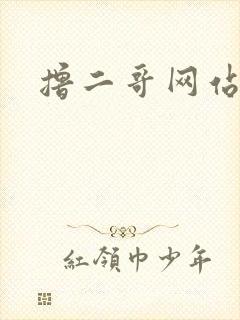 撸二哥网站封面