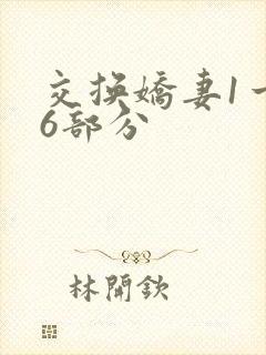 交换娇妻1一36部分