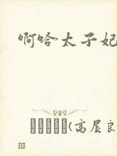 啊哈太子妃好骚