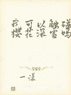 我可以触碰你的樱花深处吗封面