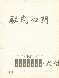 驻我心间