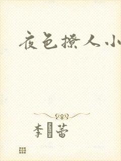夜色撩人小说封面