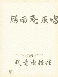 雁南飞原唱封面