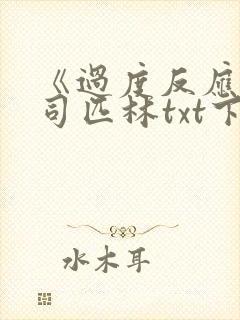 《过度反应》阿司匹林txt下载封面