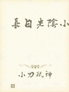 长日光阴小说