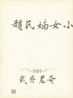 赵氏嫡女小说封面