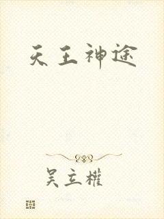 天王神途封面
