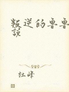 叛逆的鲁鲁修小说