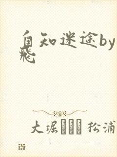 自知迷途by二飞