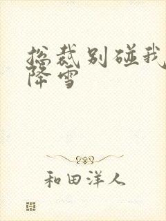 总裁别碰我 韩降雪