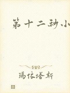 第十二秒小说