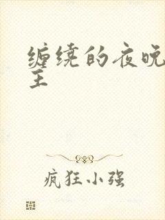 缠绕的夜晚双男主