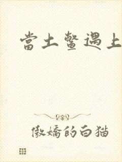 当土鳖遇上海龟