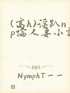 (高h)淫趴np伦人妻小说