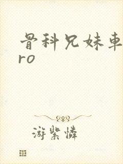 骨科兄妹车多pro