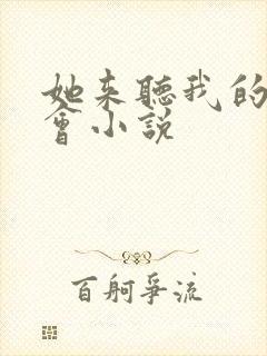 她来听我的演唱会小说