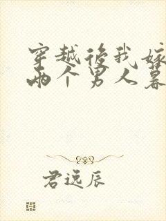 穿越后我嫁给了两个男人暮色酒歌