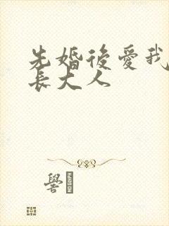 先婚后爱我的市长大人封面