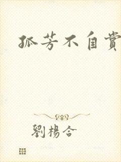 孤芳不自赏小说