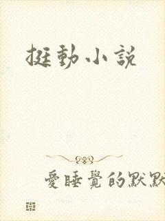 挺动小说
