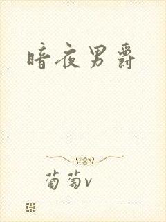 暗夜男爵