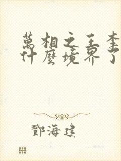 万相之王李洛到什么境界了封面