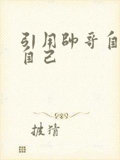 引用帅哥自己玩自己封面