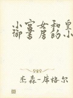 小宫女和皇上在御书房的小说叫什么