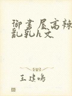 御书屋高辣h文乱乳h文