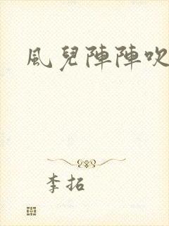 风儿阵阵吹封面