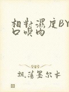 相对湿度BY大口吃肉