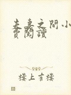 夫妻之间小说免费阅读