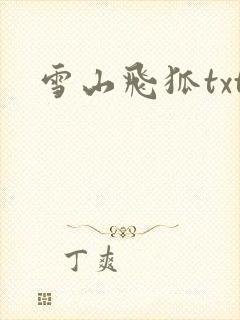 雪山飞狐txt