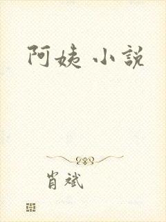 阿姨 小说封面