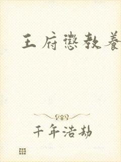 王府惩教养日常