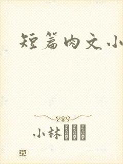 短篇肉文小说封面