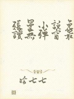 张曼小说免费阅读无弹窗最新章节封面