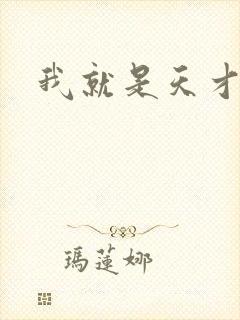 我就是天才封面