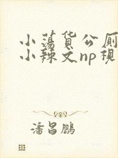 小荡货公厕h文小辣文np视频