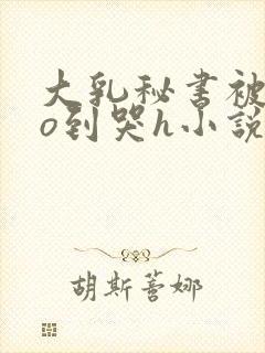 大乳秘书被cao到哭h小说