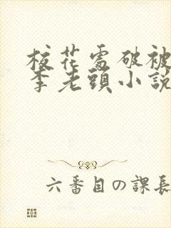 校花处破被灌满李老头小说