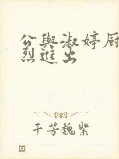 公与淑婷厨房猛烈进出