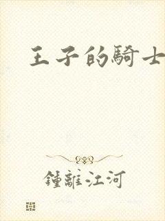 王子的骑士