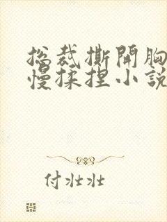 总裁撕开胸罩慢慢揉捏小说