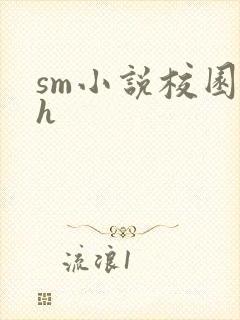 sm小说校园高h