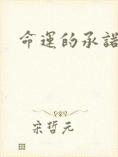 命运的承诺