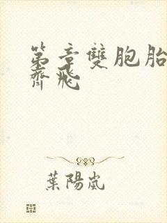 第章双胞胎姐妹齐飞