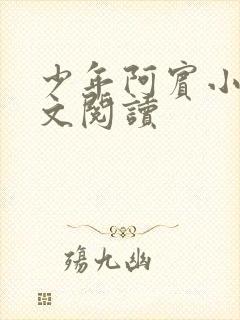 少年阿宾小说全文阅读封面